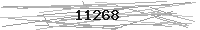 Verification Image