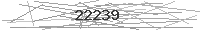 Verification Image