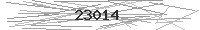 Verification Image