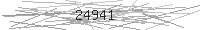 Verification Image