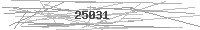 Verification Image