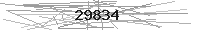 Verification Image